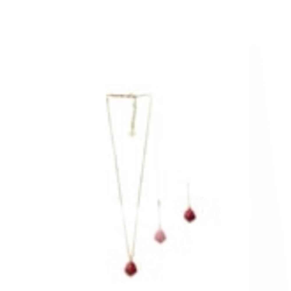 KENDRA SCOTT NECKLACE & EARRINGS